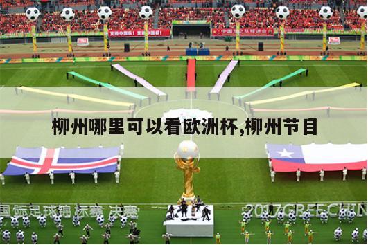 柳州哪里可以看欧洲杯,柳州节目