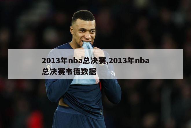 2013年nba总决赛,2013年nba总决赛韦德数据