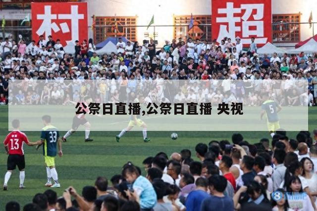 公祭日直播,公祭日直播 央视