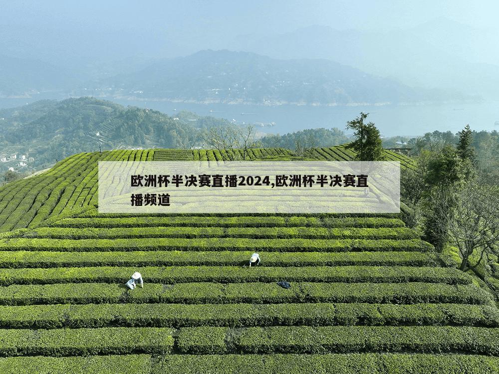 欧洲杯半决赛直播2024,欧洲杯半决赛直播频道